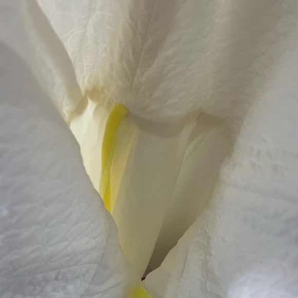 Piazza Sempione Italy Seersucker lined strapless cocktail dress - Picture 10 of 12